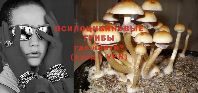 Псилоцибиновые грибы MAGIC MUSHROOMS  Южно-Сахалинск 